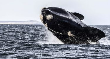 Sesiones extraordinarias: el temario incluye la creación de un Parque Nacional y un Área Marina Protegida