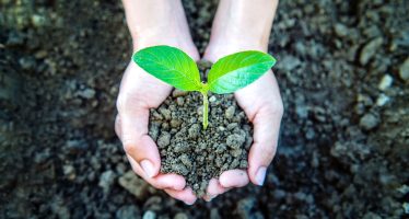 Se celebra el Día Mundial de la Educación Ambiental