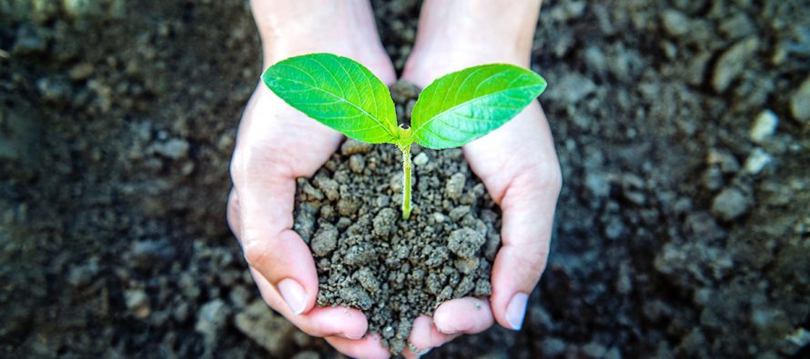 Se celebra el Día Mundial de la Educación Ambiental