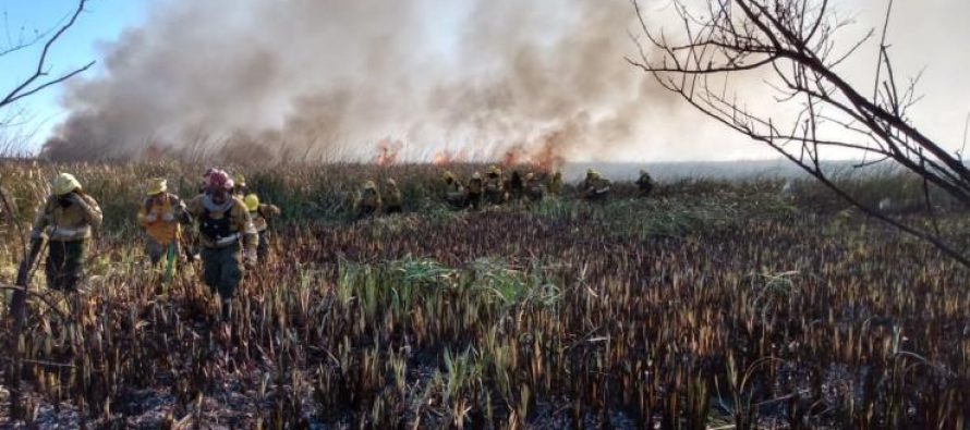 Sigue activo el fuego en el Parque Nacional Ciervo de los Pantanos