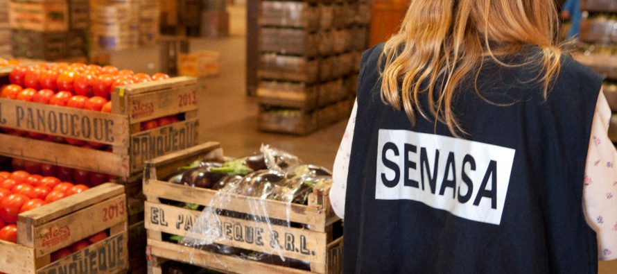 Senasa lanzó pautas para la prevención y el cuidado de la salud frente a la salmonelosis