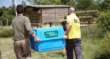 Liberaron aves autóctonas en la Reserva Natural de Pilar que habían sido rescatadas