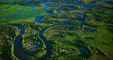 ¿Qué sucedió durante 2023 en materia ambiental?