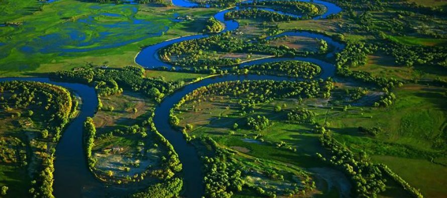 ¿Qué sucedió durante 2023 en materia ambiental?