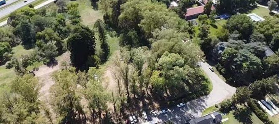 Loma Verde: el Municipio relevó la cantidad de árboles para su preservación y multiplicación