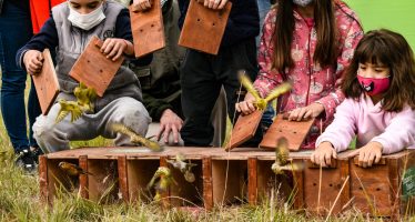 Día de la Educación Ambiental: el programa de la Fundación Temaikèn que trabajó sobre nuestro Delta