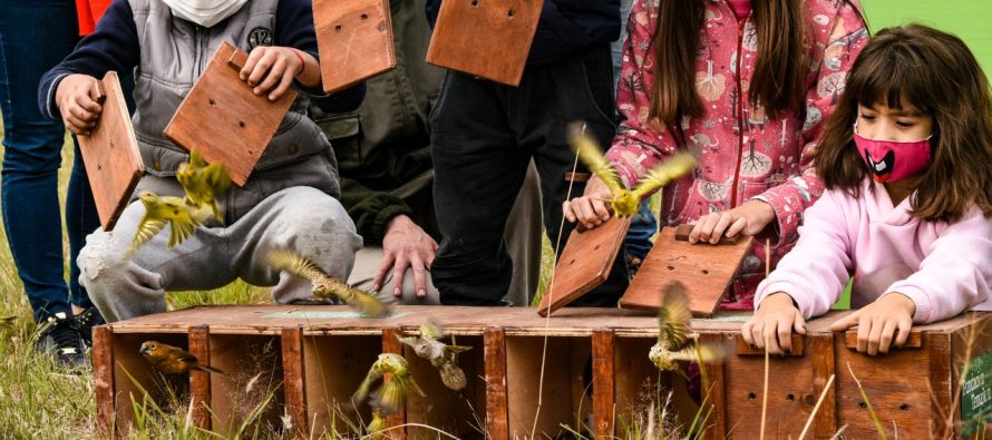 Día de la Educación Ambiental: el programa de la Fundación Temaikèn que trabajó sobre nuestro Delta