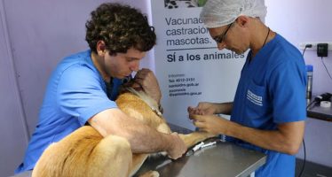 San Isidro: dónde serán los próximos operativos de zoonosis y castración