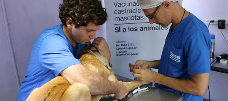 San Isidro: dónde serán los próximos operativos de zoonosis y castración