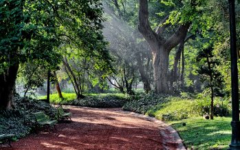 Declaran al Jardín Botánico como el primer “refugio climático” de la ciudad de Buenos Aires