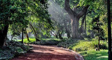 Declaran al Jardín Botánico como el primer “refugio climático” de la ciudad de Buenos Aires