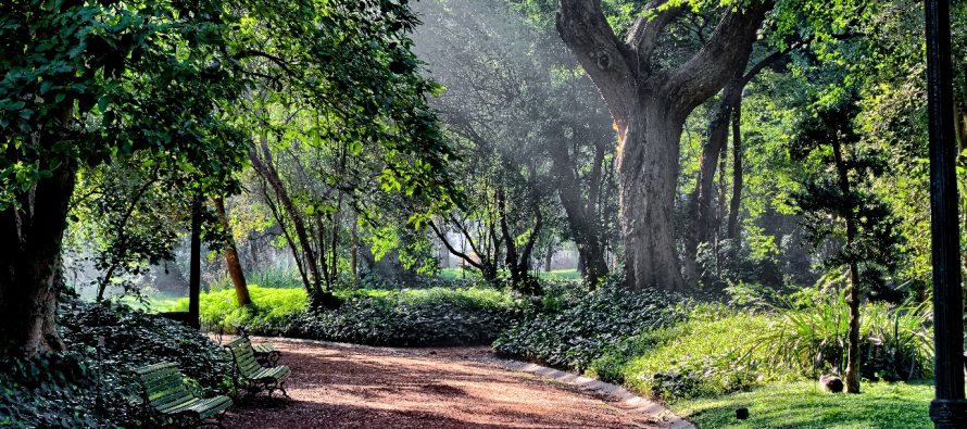 Declaran al Jardín Botánico como el primer “refugio climático” de la ciudad de Buenos Aires