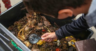 Abrió la inscripción al curso de compostaje domiciliario del Ministerio de Ambiente de la Provincia