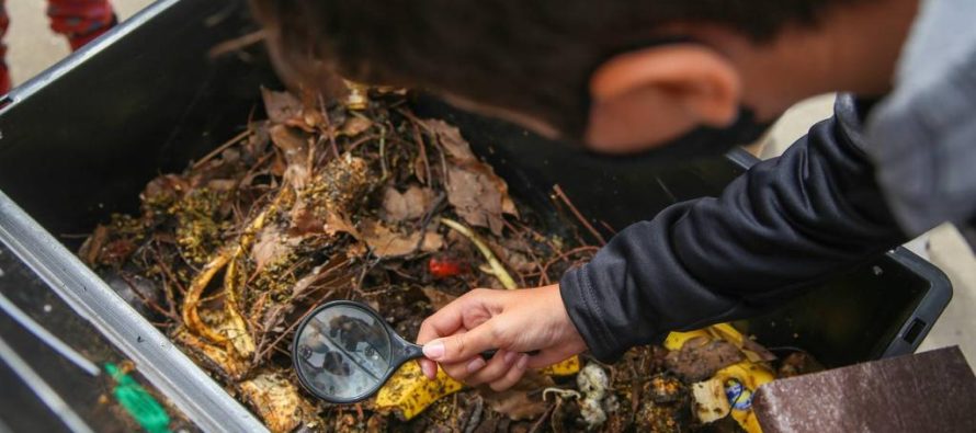 Abrió la inscripción al curso de compostaje domiciliario del Ministerio de Ambiente de la Provincia