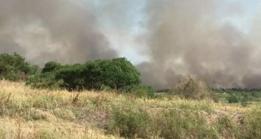 Incendio de pastizales cerca de Atucha en Zárate: “La situación está bajo control”