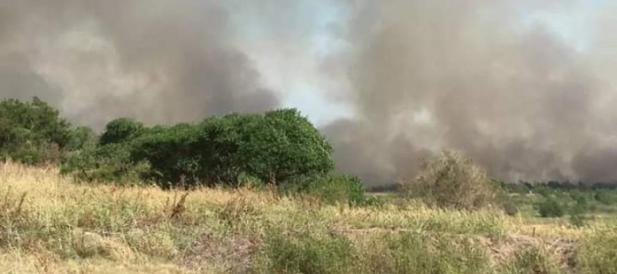 Incendio de pastizales cerca de Atucha en Zárate: “La situación está bajo control”