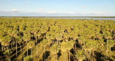 Diputados convoca a una sesión para tratar la creación de un nuevo parque nacional