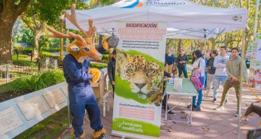 San Fernando celebró el Día del Animal con múltiples actividades