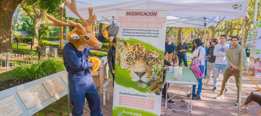 San Fernando celebró el Día del Animal con múltiples actividades