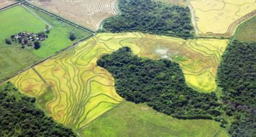 El 2% de la reserva mundial de carbono está almacenado en suelos argentinos