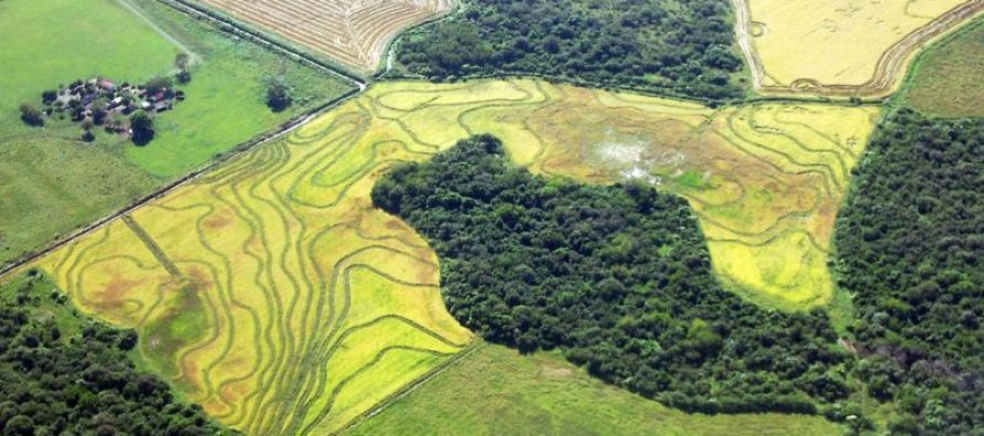 El 2% de la reserva mundial de carbono está almacenado en suelos argentinos