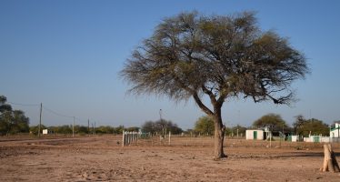 Ambiente lanzó un relevamiento de buenas prácticas para el manejo sostenible de tierras