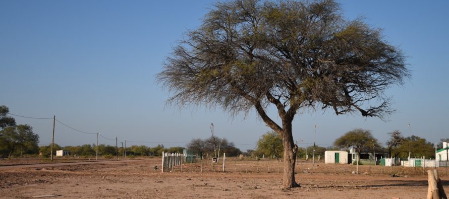 Ambiente lanzó un relevamiento de buenas prácticas para el manejo sostenible de tierras