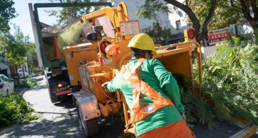 Comenzó el plan de poda sustentable en San Isidro