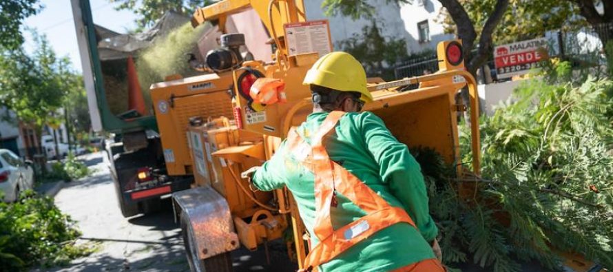 Comenzó el plan de poda sustentable en San Isidro