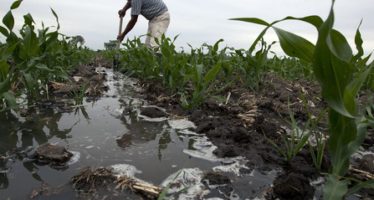 Contaminación por plomo: Sudamérica entre las regiones con mayor nivel de intoxicación