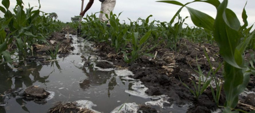 Contaminación por plomo: Sudamérica entre las regiones con mayor nivel de intoxicación