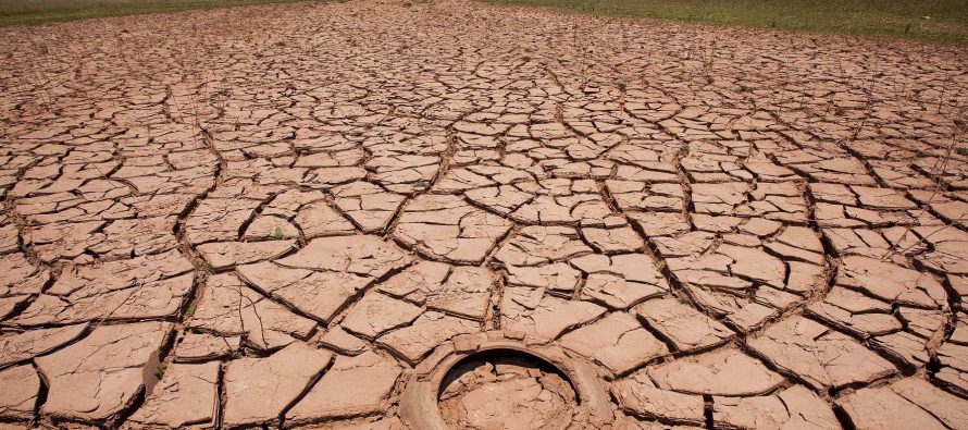 Fue declarada la emergencia agropecuaria en Campana, Exaltación de la Cruz y otros 66 partidos bonaerenses