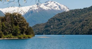 Comenzó el curso del Ministerio de Ambiente sobre biodiversidad para gestoras y gestores ambientales