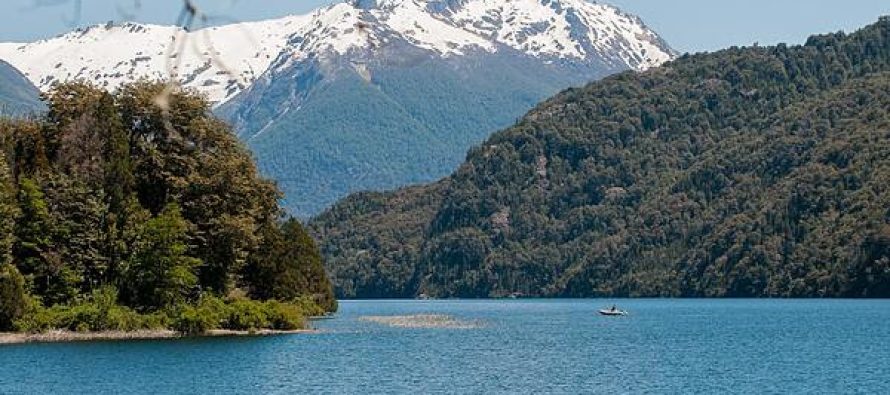 Comenzó el curso del Ministerio de Ambiente sobre biodiversidad para gestoras y gestores ambientales