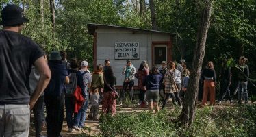 Tigre: una cooperativa de junqueros resiste el negocio inmobiliario