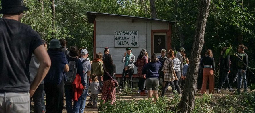 Tigre: una cooperativa de junqueros resiste el negocio inmobiliario