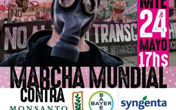 Marcha contra agrotóxicos y transgénicos en el centro porteño