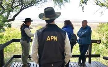 Parques Nacionales: irregularidades en la conservación de la biodiversidad