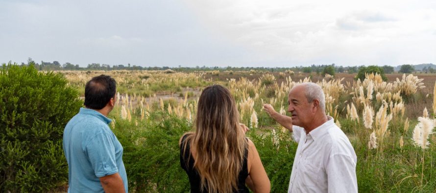 Malena Galmarini sobre la alcaldía en Dique Luján: “Gracias al trabajo en conjunto pudimos frenar esta locura”