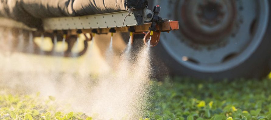 Organizaciones marcharán mañana en el centro porteño contra agrotóxicos y transgénicos