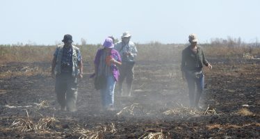 Nueva herramienta para evaluar el daño ambiental en los Parques Nacionales