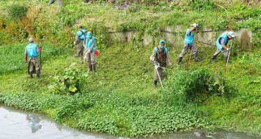 Tigre: la Provincia realizó operativos de limpieza en arroyos, canales y zanjas