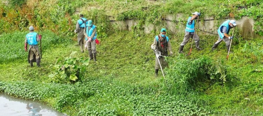 Tigre: la Provincia realizó operativos de limpieza en arroyos, canales y zanjas