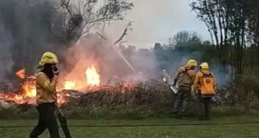 Comienzan a realizarse quemas controladas en el Parque Nacional Ciervo de los Pantanos