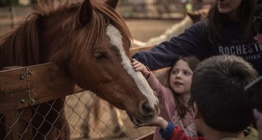 La Granja Educativa Don Benito reabre sus puertas con actividades para toda la familia