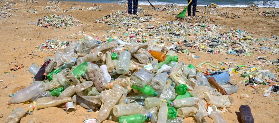 Día Mundial del Medio Ambiente, “nada que festejar”