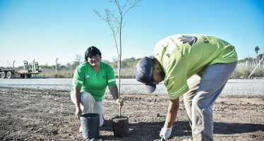 Escobar Sostenible: se plantaron 7.200 árboles nativos de los 10.000 del Plan de Arbolado Urbano