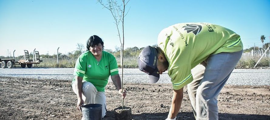 Escobar Sostenible: se plantaron 7.200 árboles nativos de los 10.000 del Plan de Arbolado Urbano