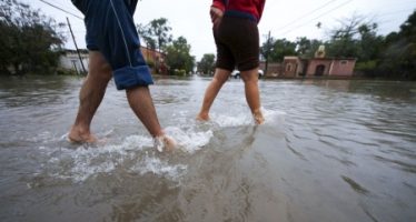 Ambiente lanza un concurso para visibilizar historias de acción climática en el país