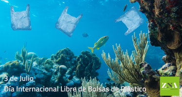 Hoy se celebra el Día Internacional Libre de Bolsas de Plástico